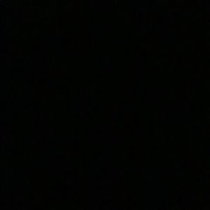 Meet your Posher, Forrest